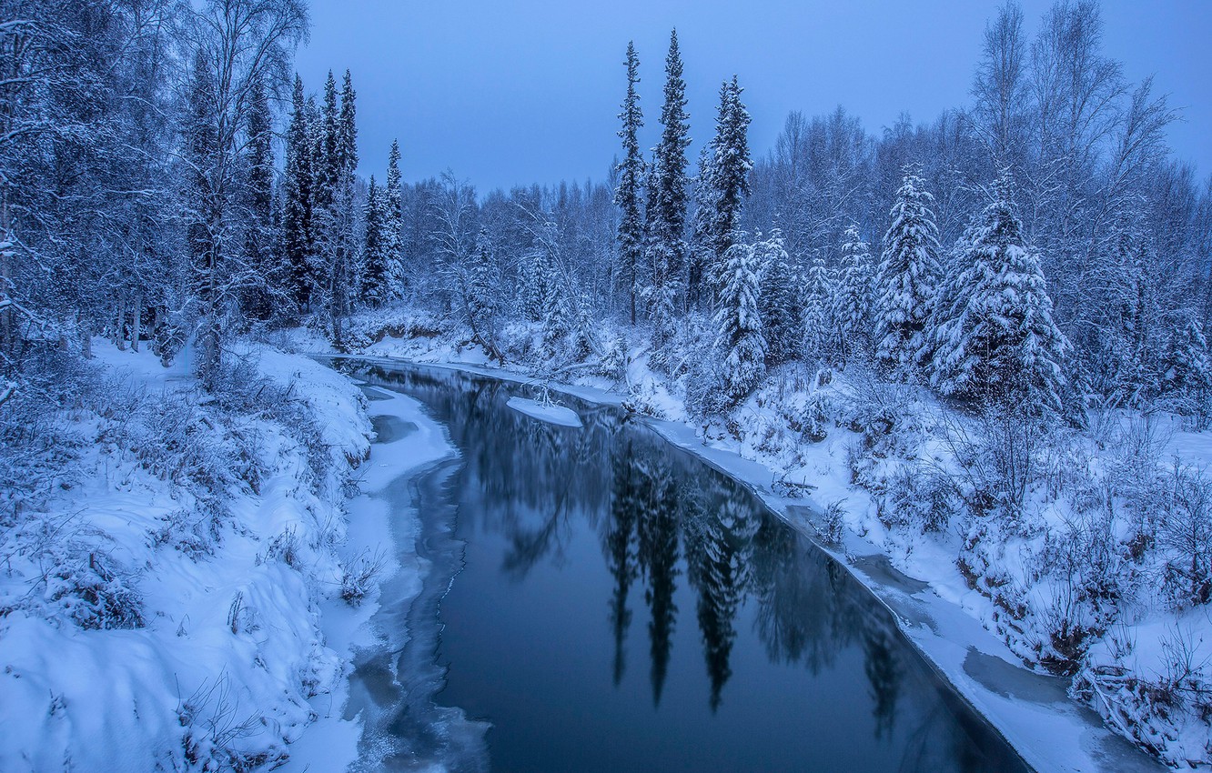 Wallpaper winter, forest, snow, trees, river, Alaska image for desktop, section пейзажи
