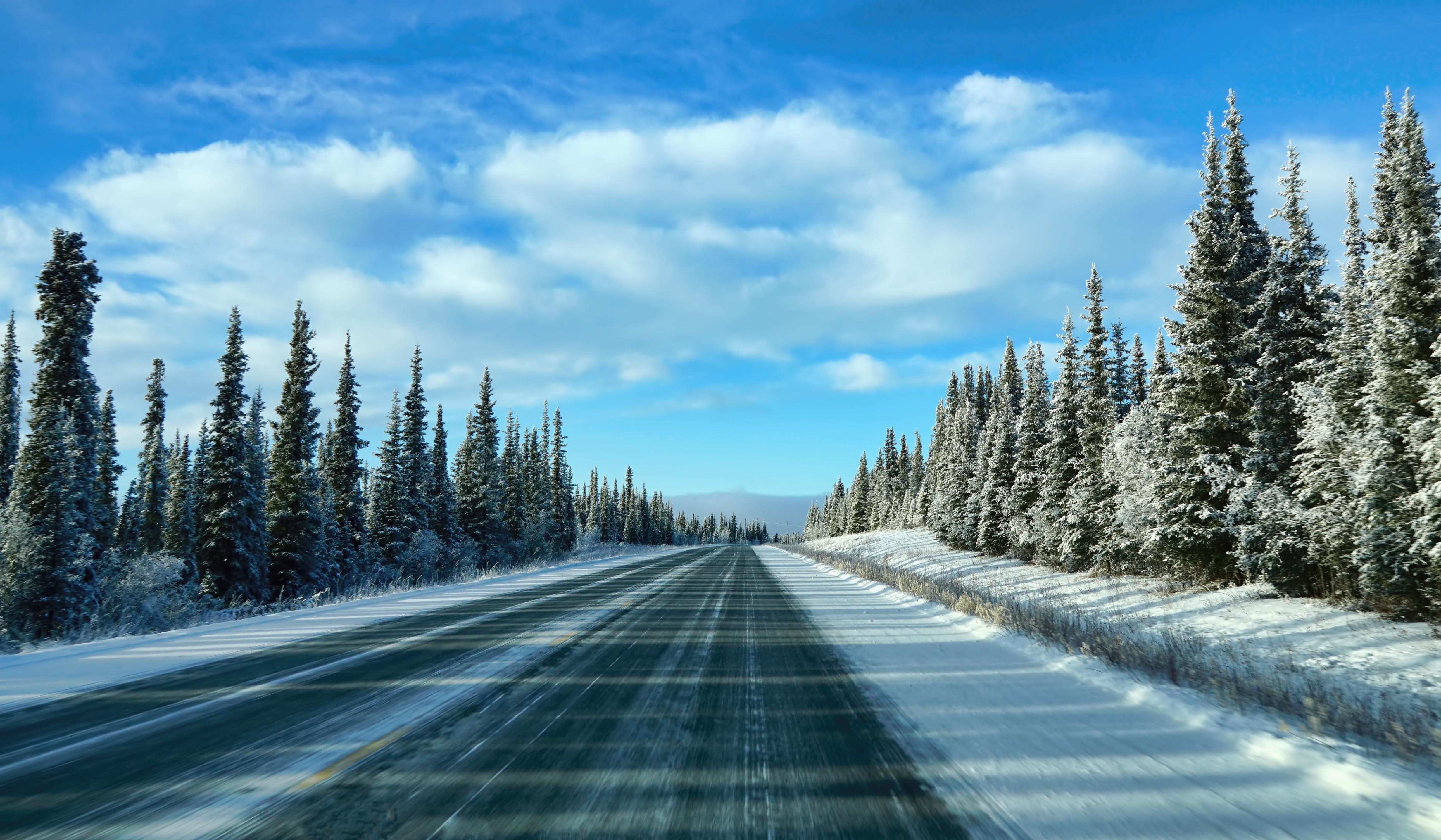 Wallpaper. Winter. photo. picture. Alaska, winter, road, trees, landscape