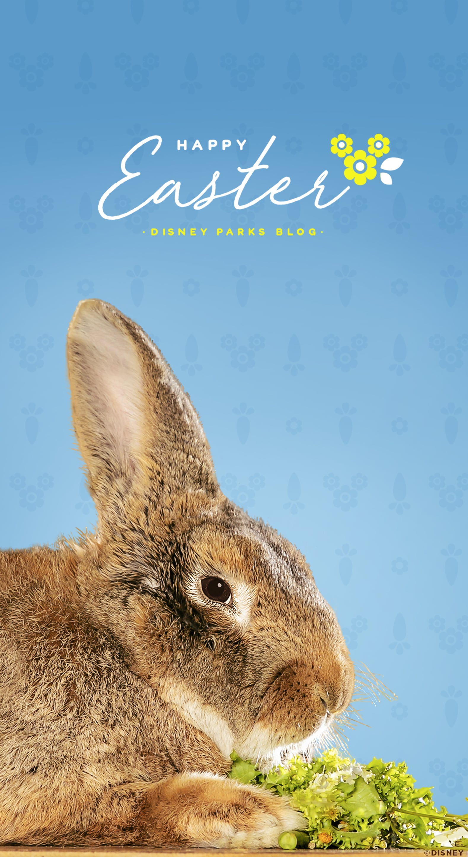 Fezzik The Rabbit Easter Wallpaper