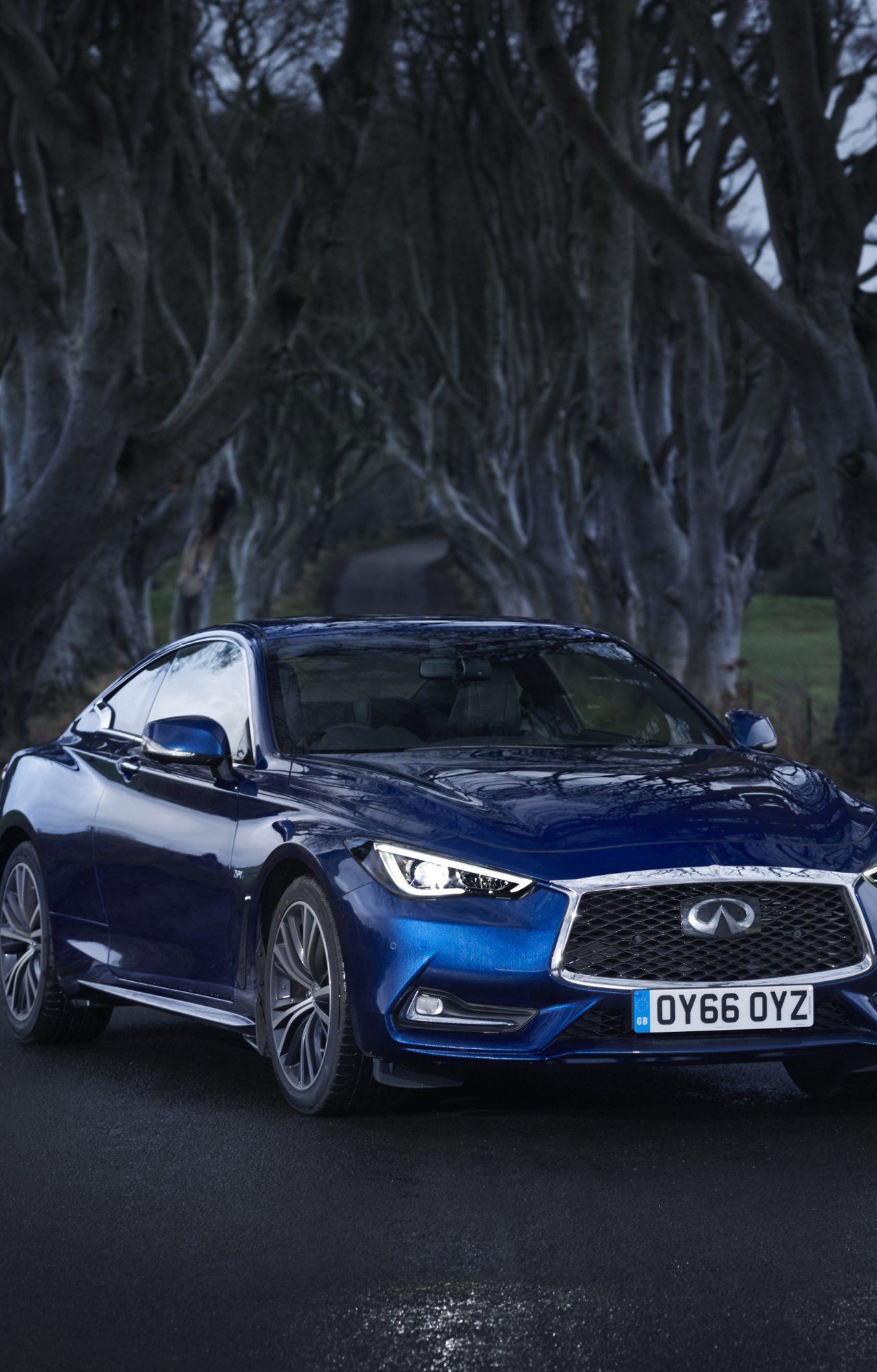 Q60 Route - 2d2y7jj