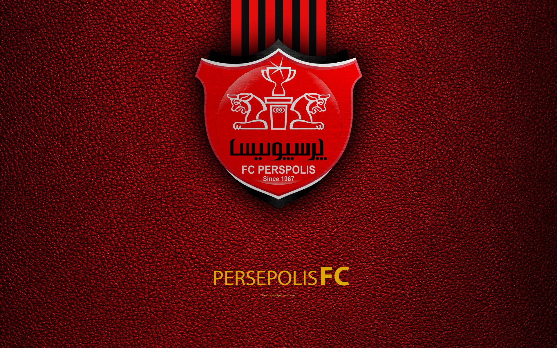 Perspolis FC Wallpapers - Wallpaper Cave 