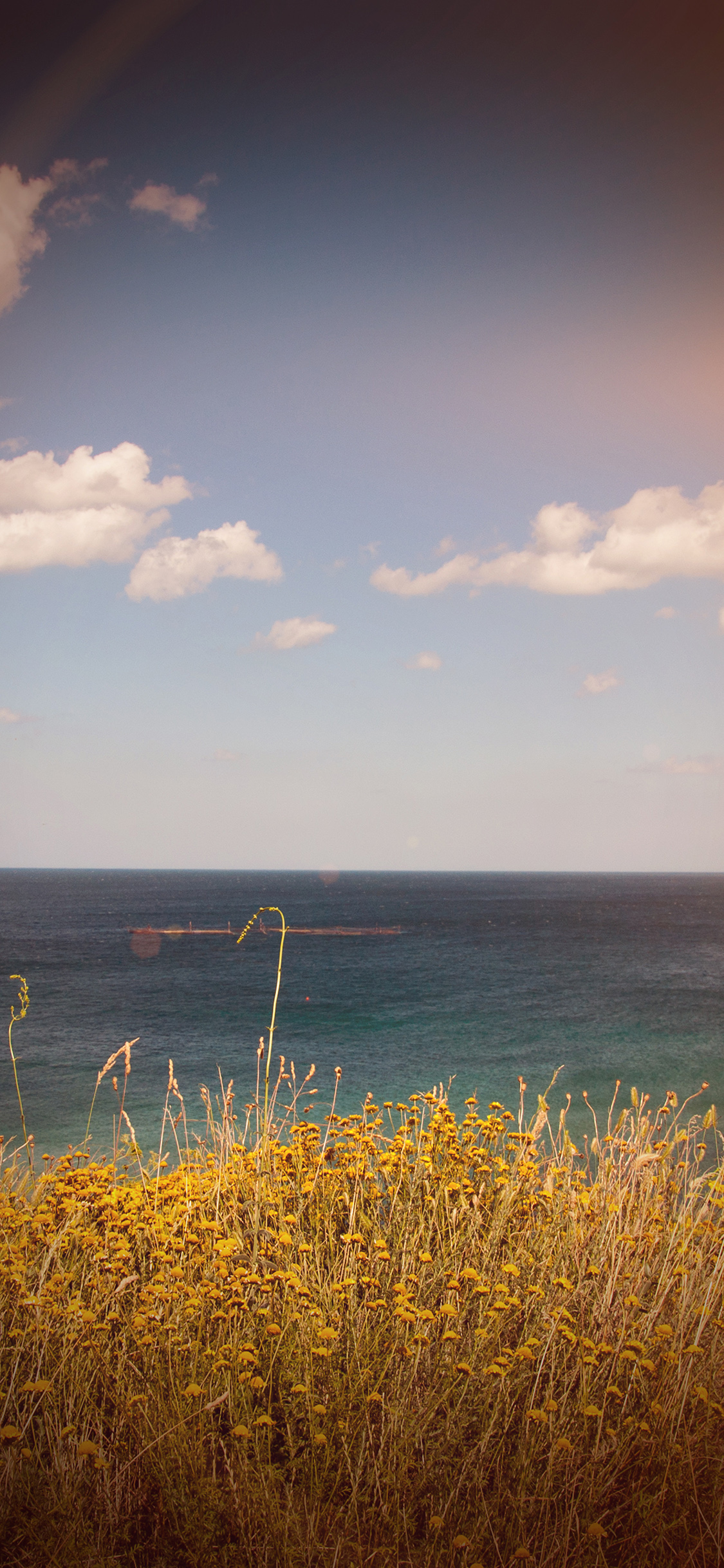 Sea Cloud Flower Nature Old Nostalgia Vignette Wallpaper