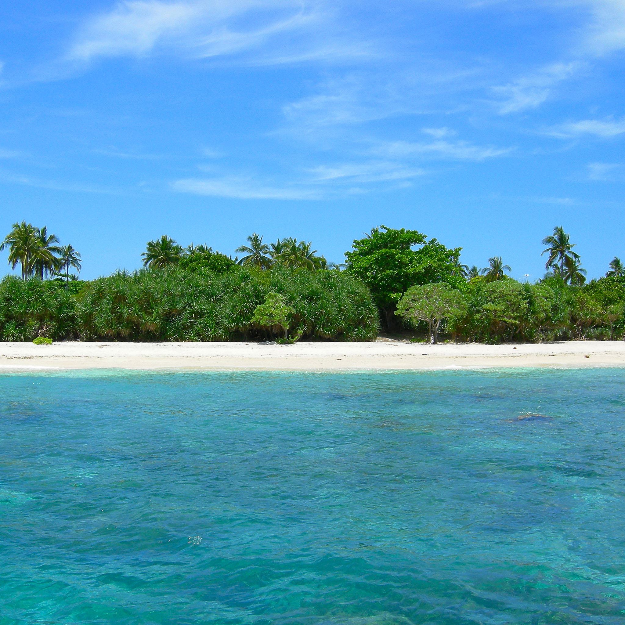 Tropical Clean Ocean Beach View iPad Air Wallpaper Free Download