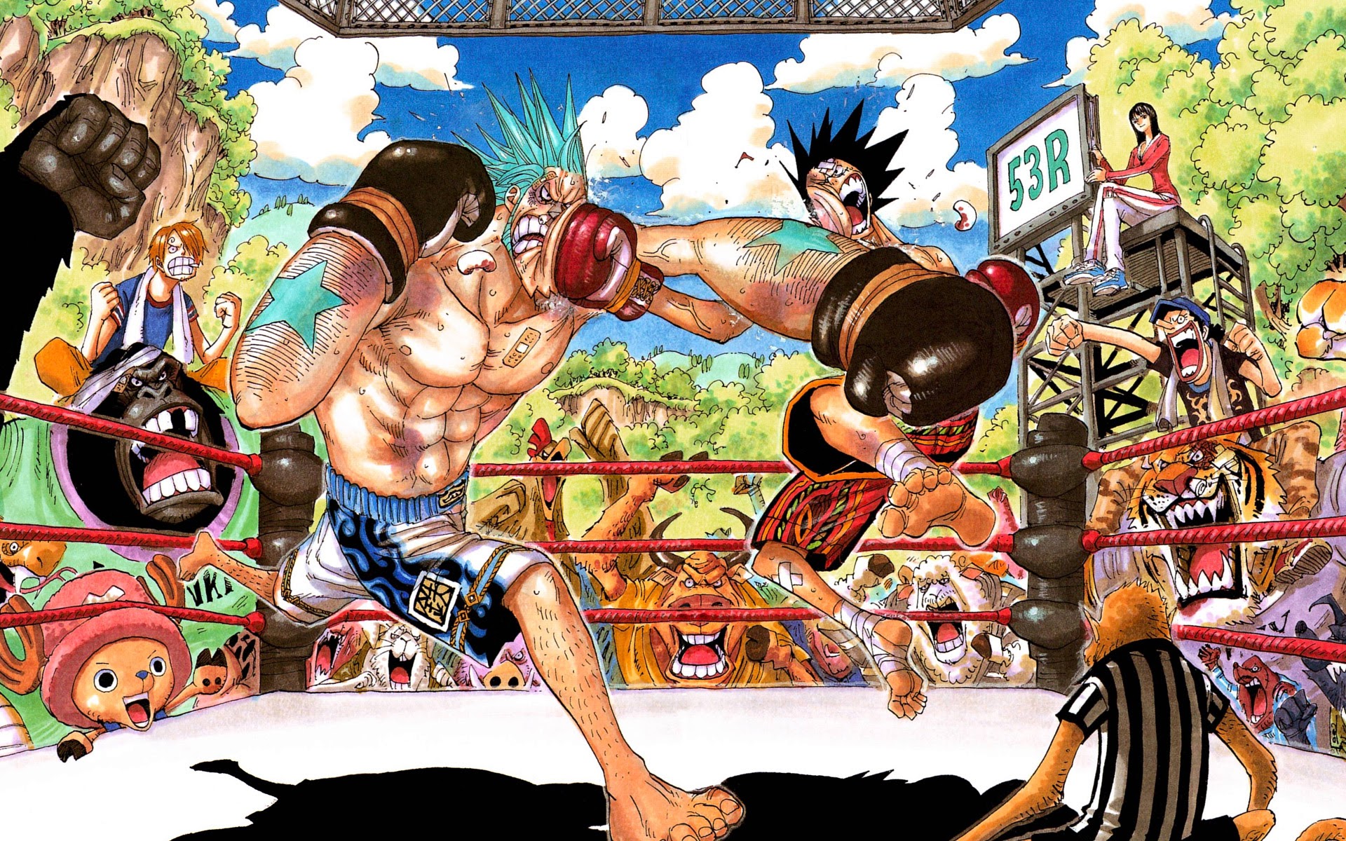 franky vs luffy one piece boxing anime HD wallpaper 1920x1200 0j