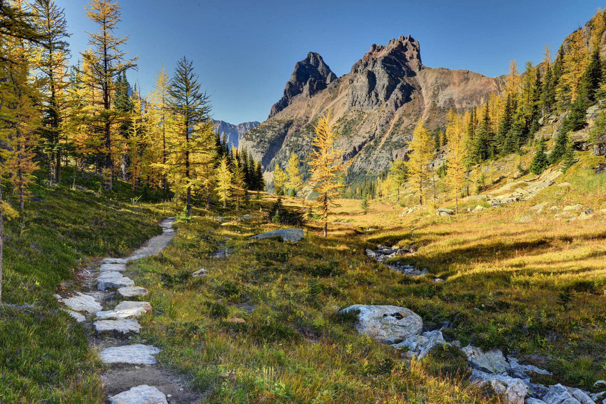 Yoho National Park HD Wallpaper and Background