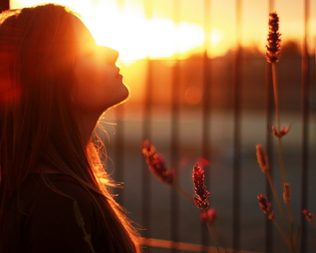 Summer Sun desktop PC and Mac wallpaper