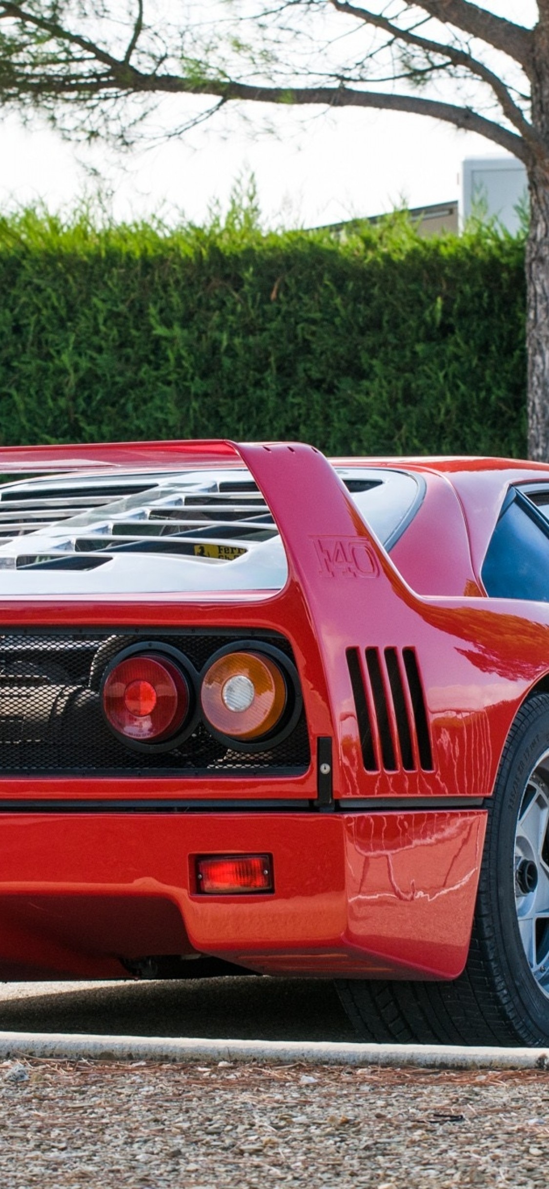 Ferrari F Back View, Red, Sport, Cars X Wallpaper Ferrari F40