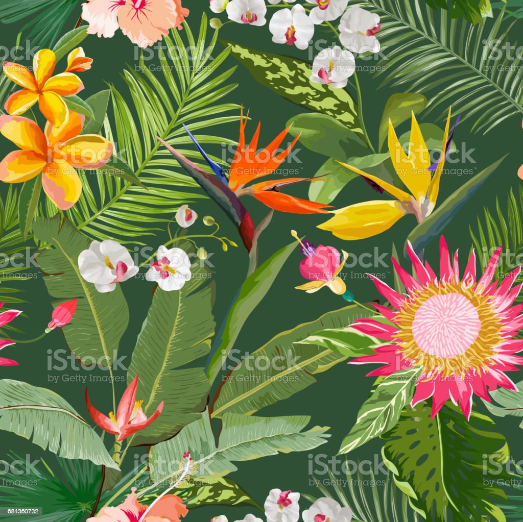 Tropical Seamless Vector Floral Summer Pattern For Wallpaper Background Textures Textile Cards Stock Illustration Image Now