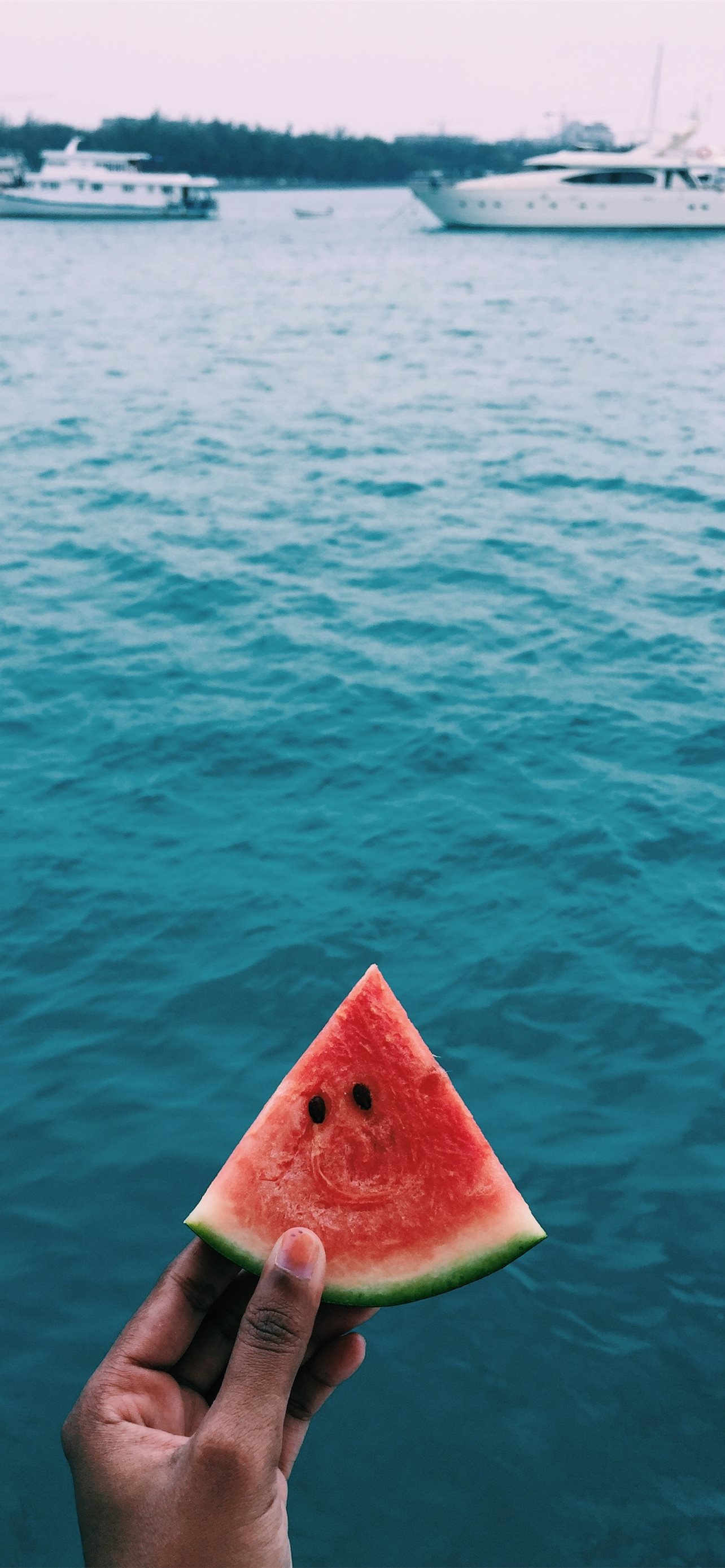 person holding sliced watermelon near body of wate. iPhone Wallpaper Free Download