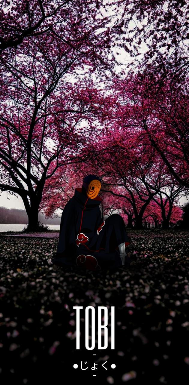 TOBI wallpaper