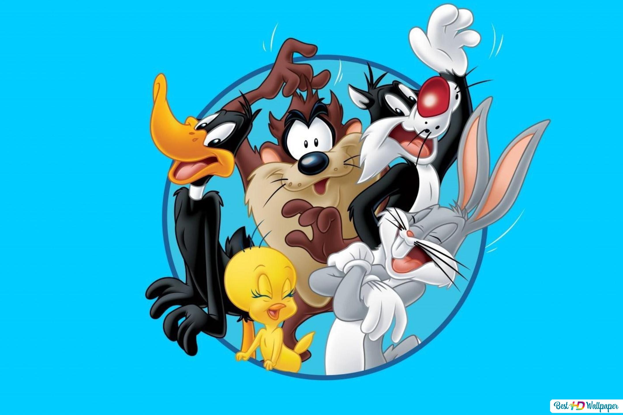 Looney tunes, bugs bunny, cartoon HD wallpaper download