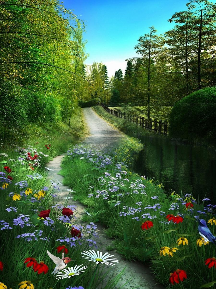most beautiful nature wallpapers for mobile