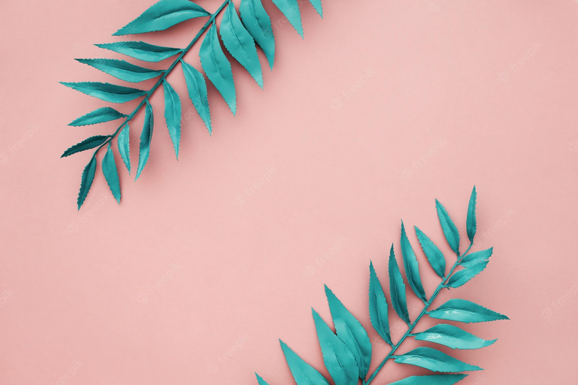Free Photo. Beautiful blue border leaves on pink background