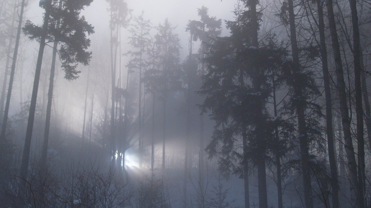 rendlesham forest cycling