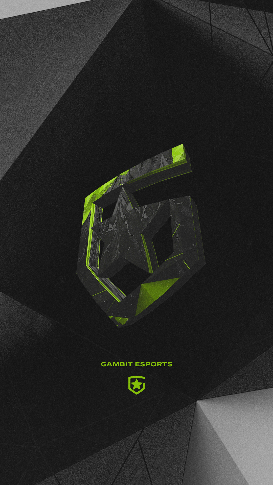 Gambit Esports ready to support #GambitCSGO at #ESLProLeague