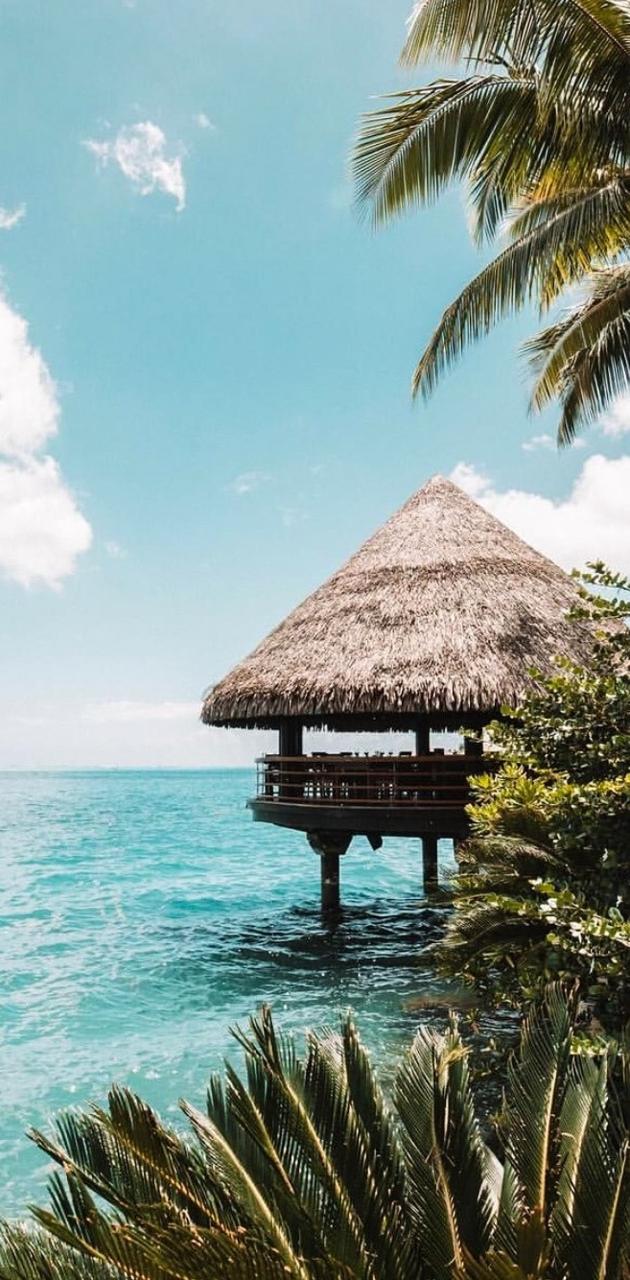 summer vibes wallpaper