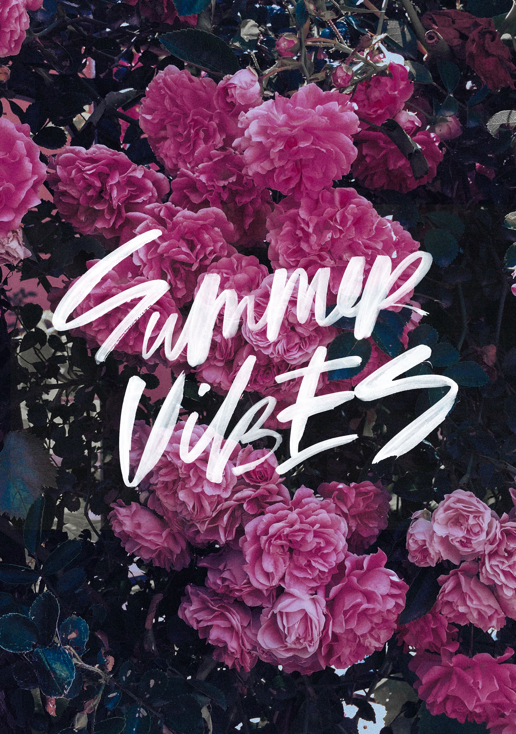 Free Summer Vibes Wallpaper, Summer Vibes Wallpaper Download