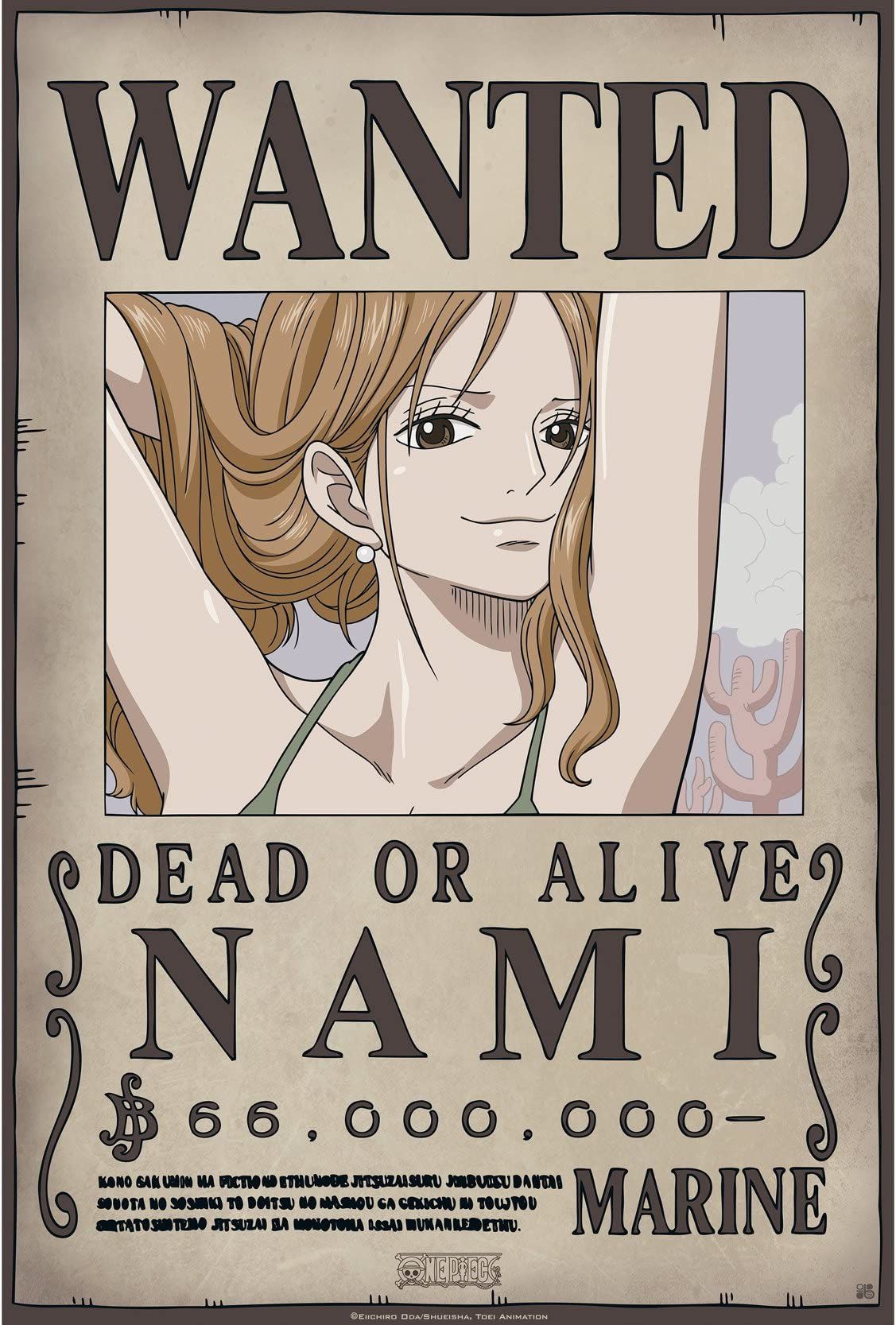 Nami Bounty Wallpapers - Wallpaper Cave