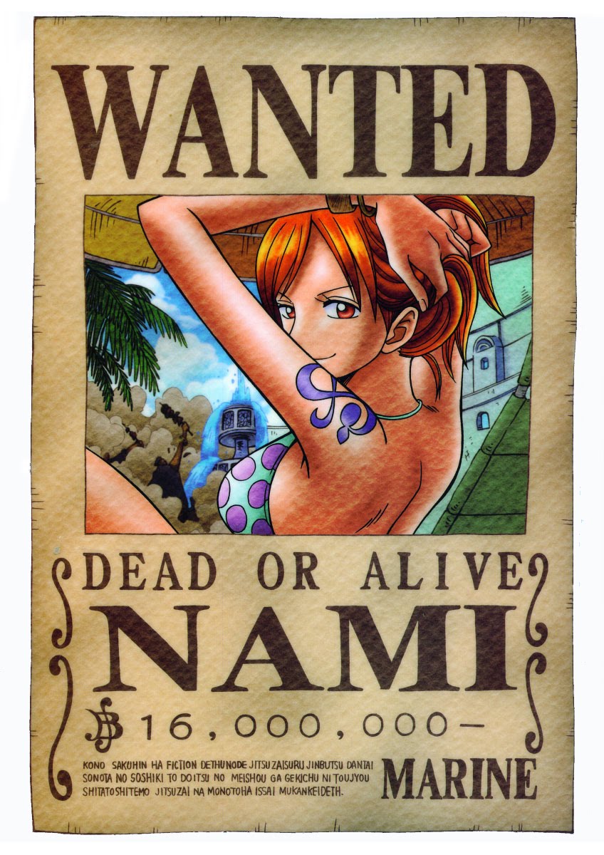 NARUTO WALLPAPERS: Bounty Nami San One Piece