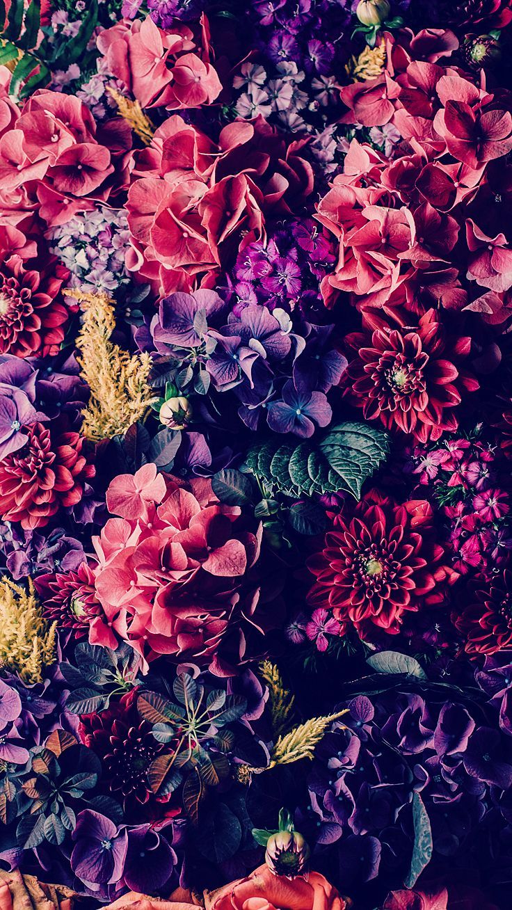 4k Flower iPhone X Wallpaper