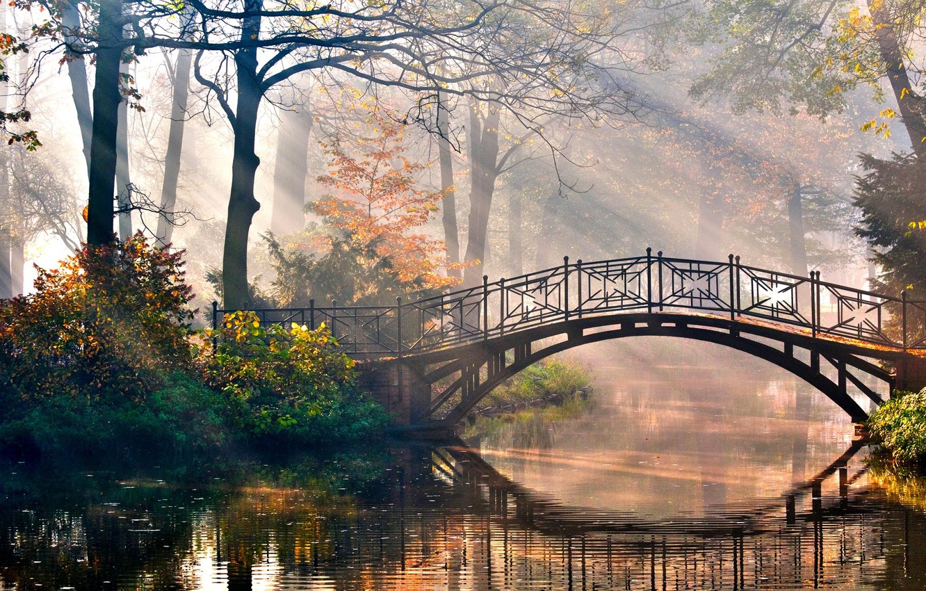 Wallpaper Nature, Bridge, Wallpaper, Morning, River, Trees image for desktop, section природа