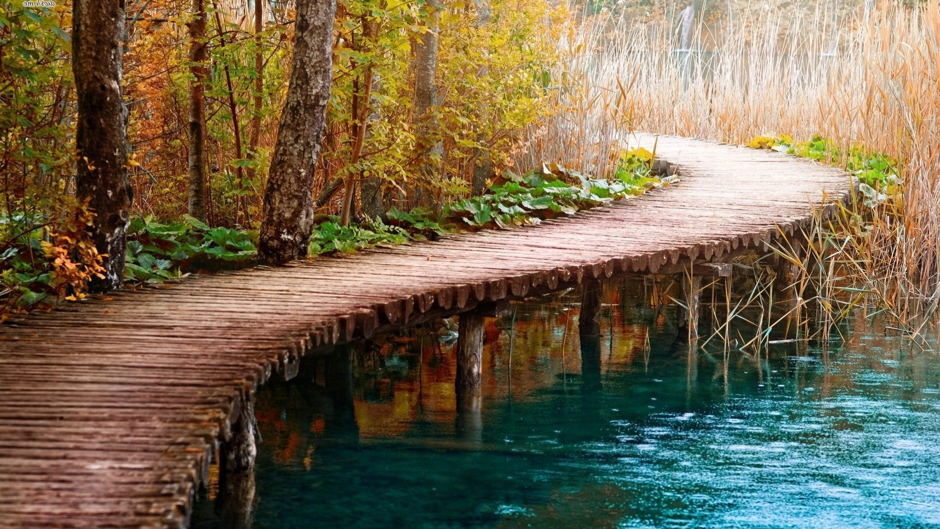 nature, Bridge, Path, Water Wallpaper HD / Desktop and Mobile Background