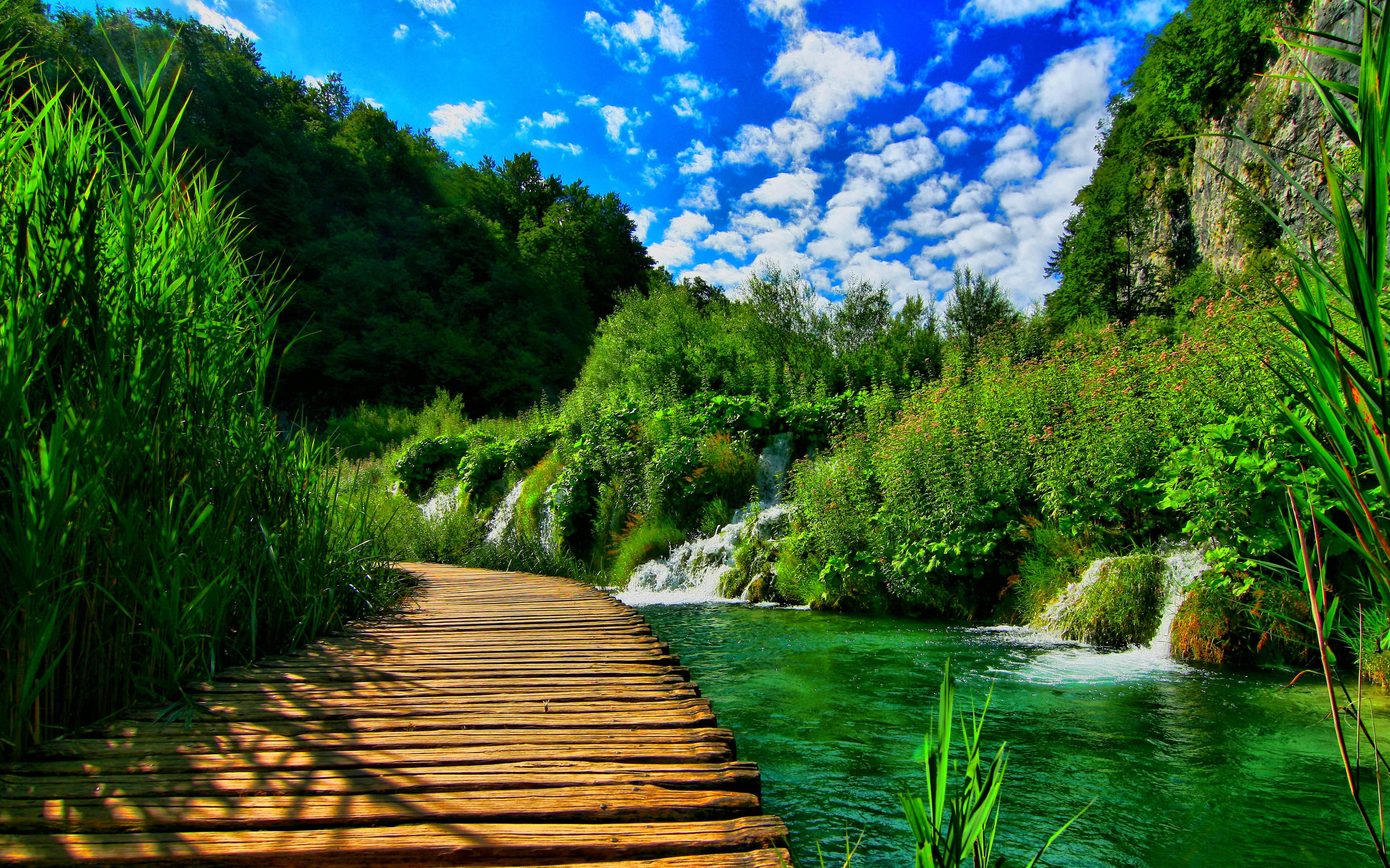 bridge nature wallpaper