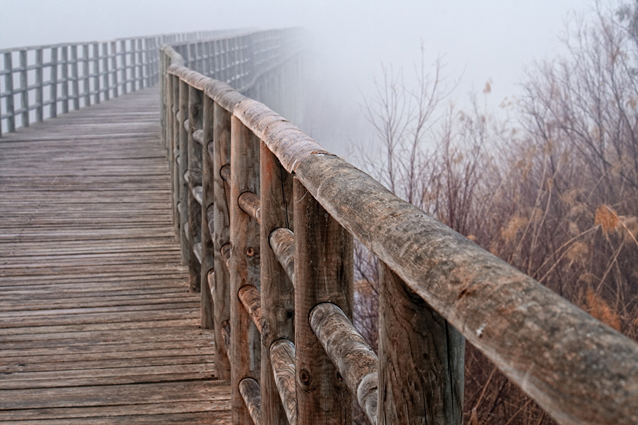 Wallpaper Fog Nature Bridges Fence