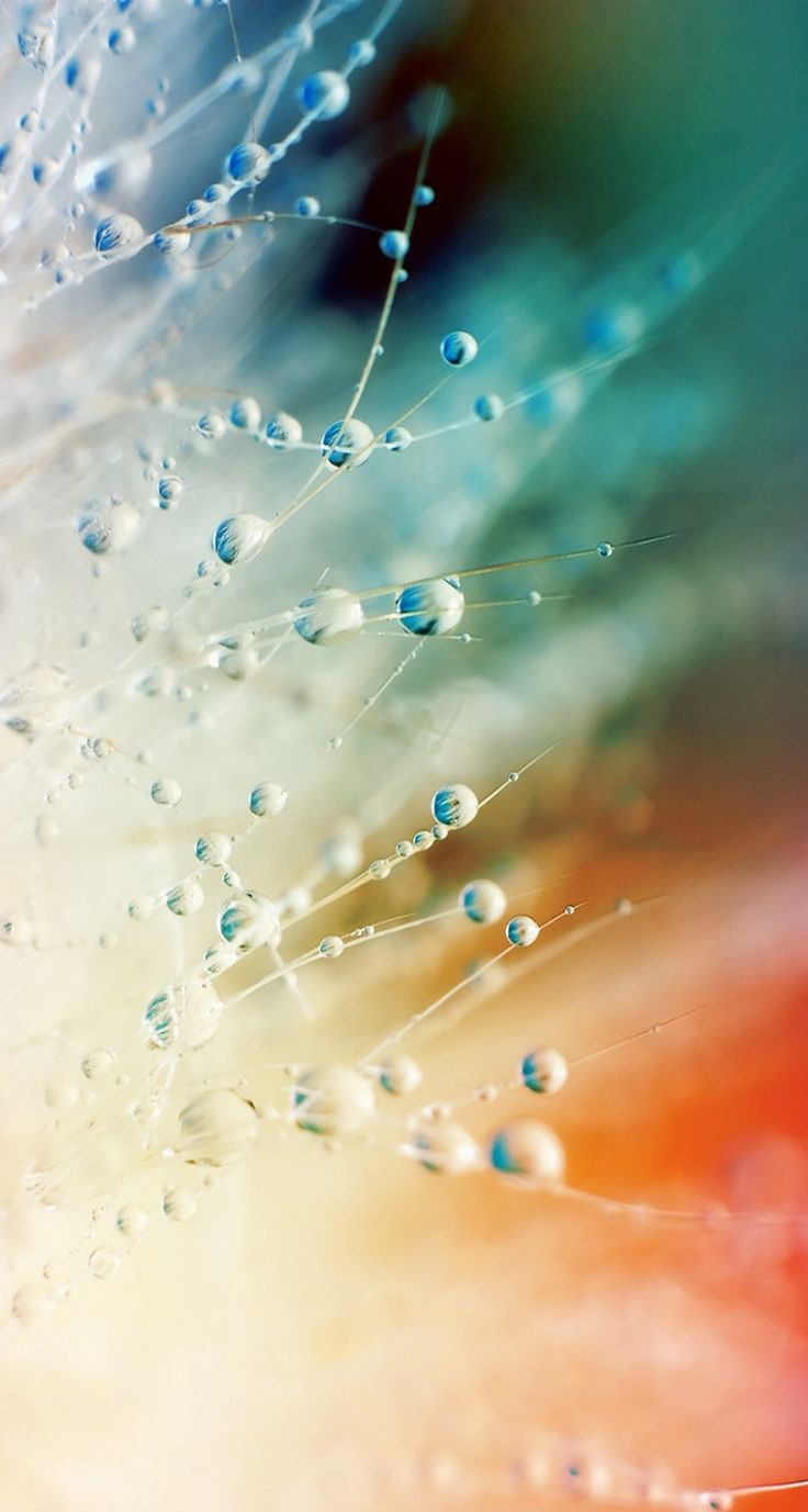 TAP AND GET THE FREE APP! Nature Minimalistic Dew Pure Multicolored Blurred Ombre Dropes. Cool background for iphone, Really cool background, Cool background