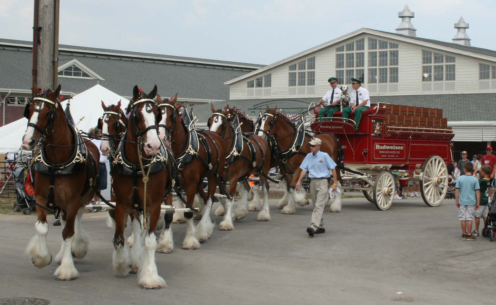 Budweiser Clydesdales Wallpaper Free Budweiser Clydesdales Background