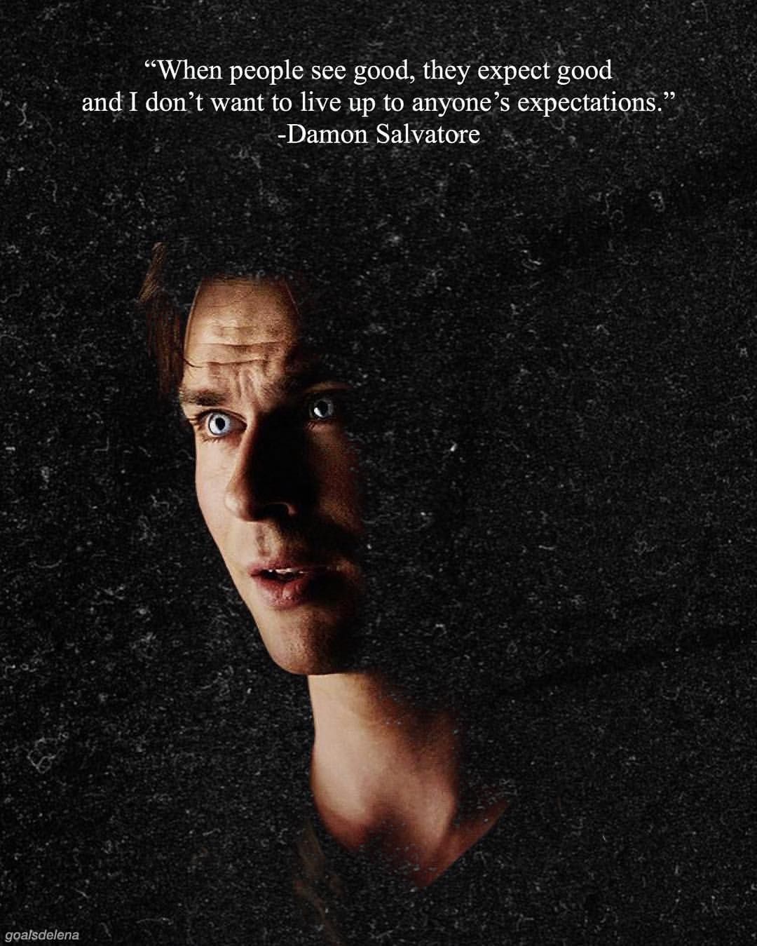 The Vampire Diaries Delena Damon Salvatore. Vampire Diaries Damon, Vampire Diaries Funny, Damon Salvatore Vampire Diaries