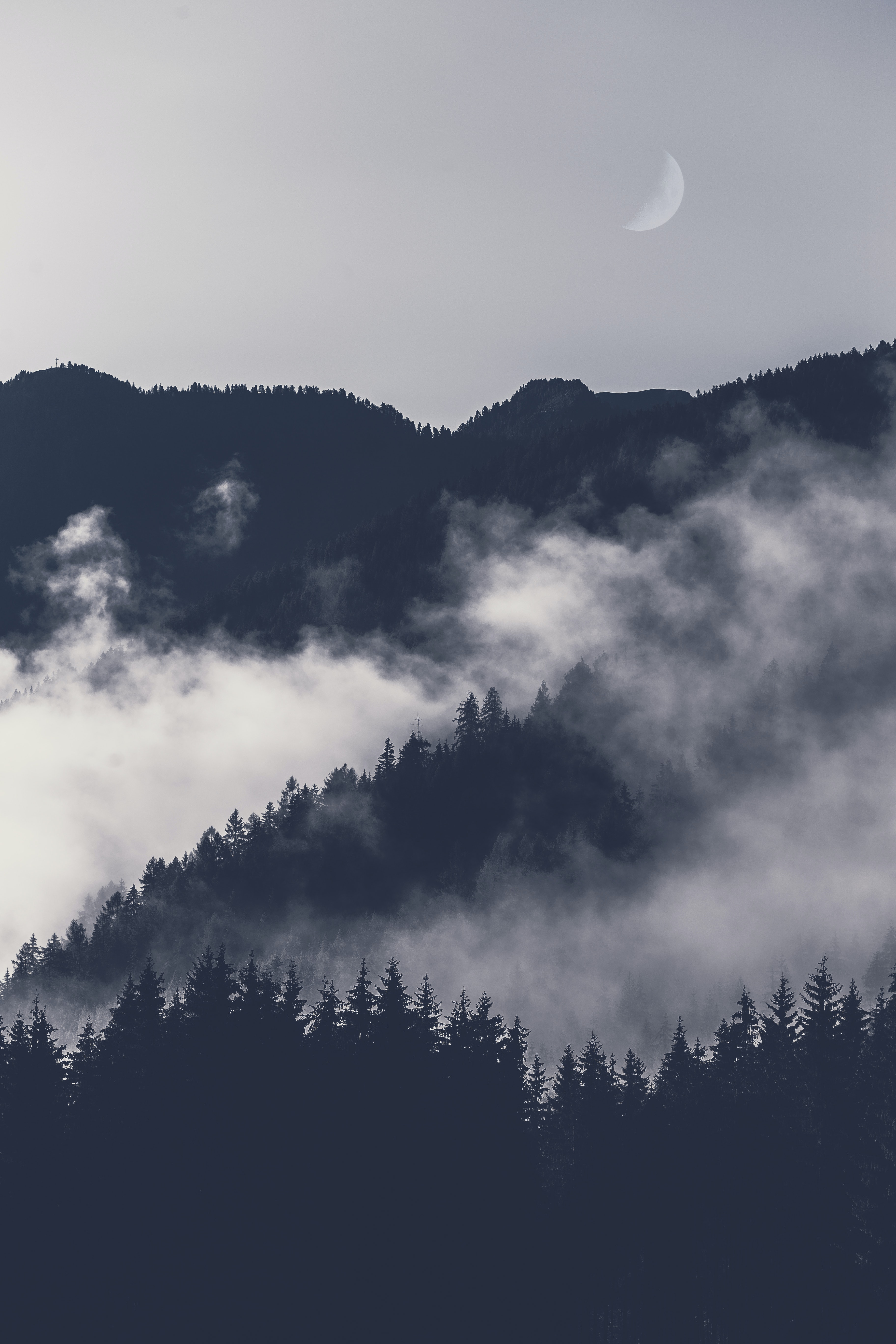 50,Best iPhone Wallpaper Photo · 100% Free Downloads