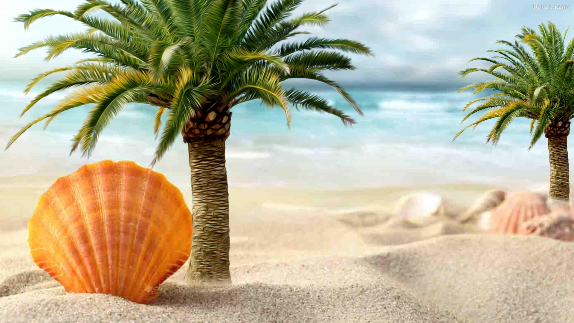 Palm Tree HD Wallpaper 30809