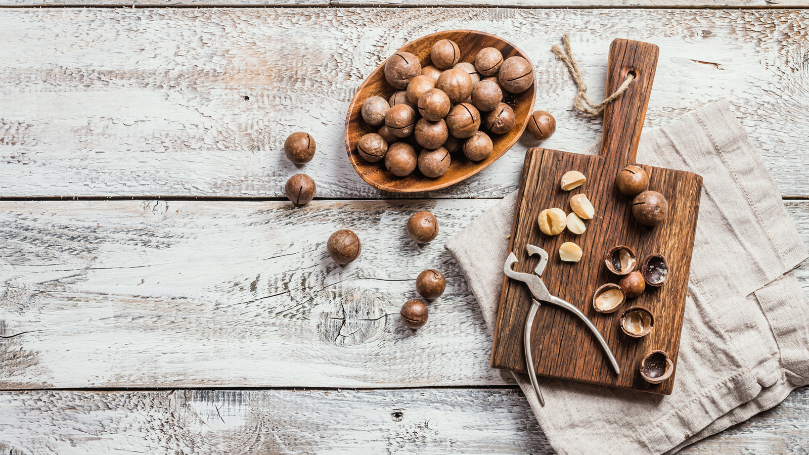 Macadamia Wallpapers - Wallpaper Cave