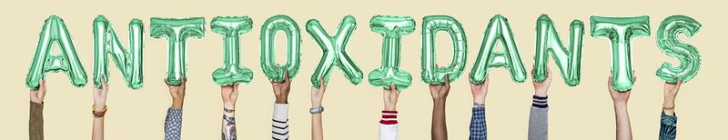 Enzyme Image Wallpaper