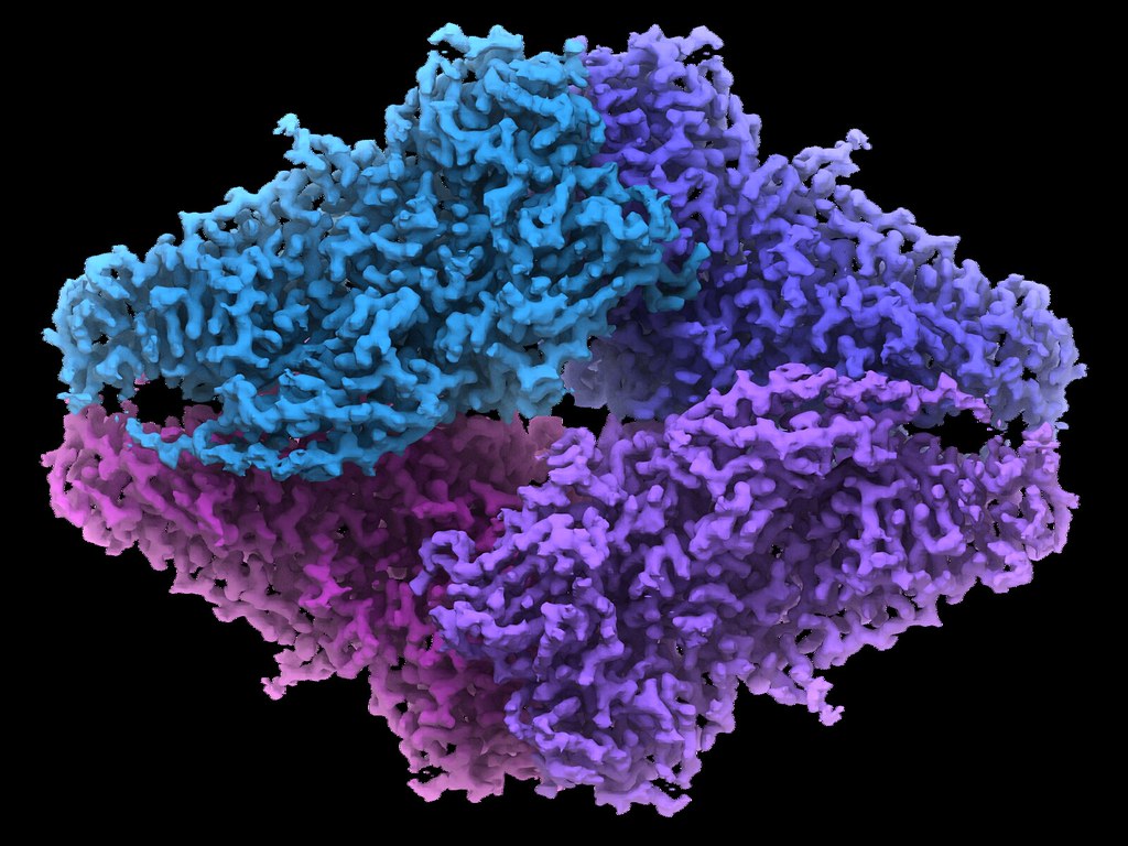 Enzyme Wallpapers Wallpaper Cave