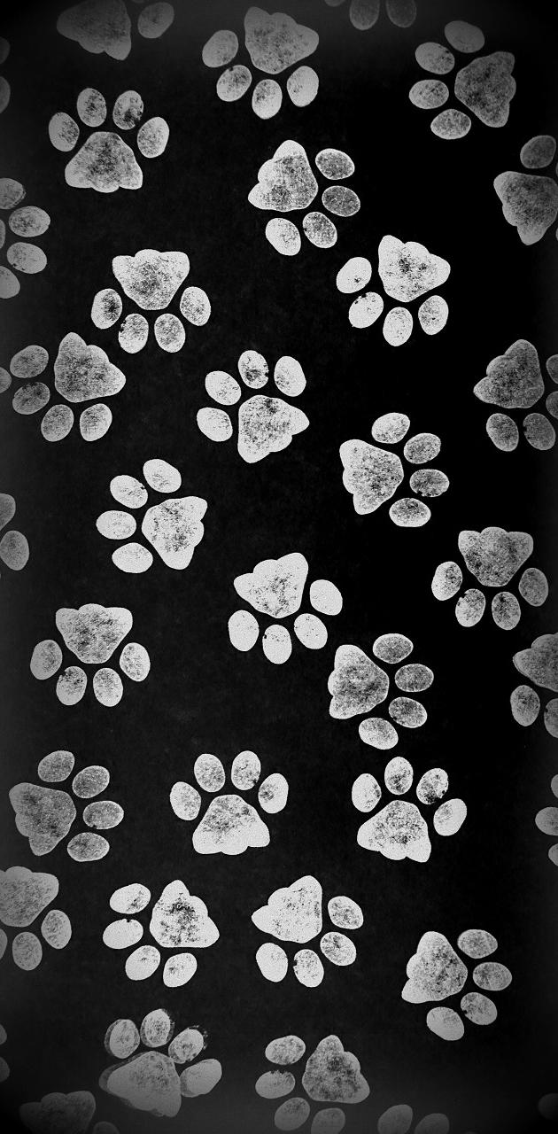 Dark Paw Prints wallpaper