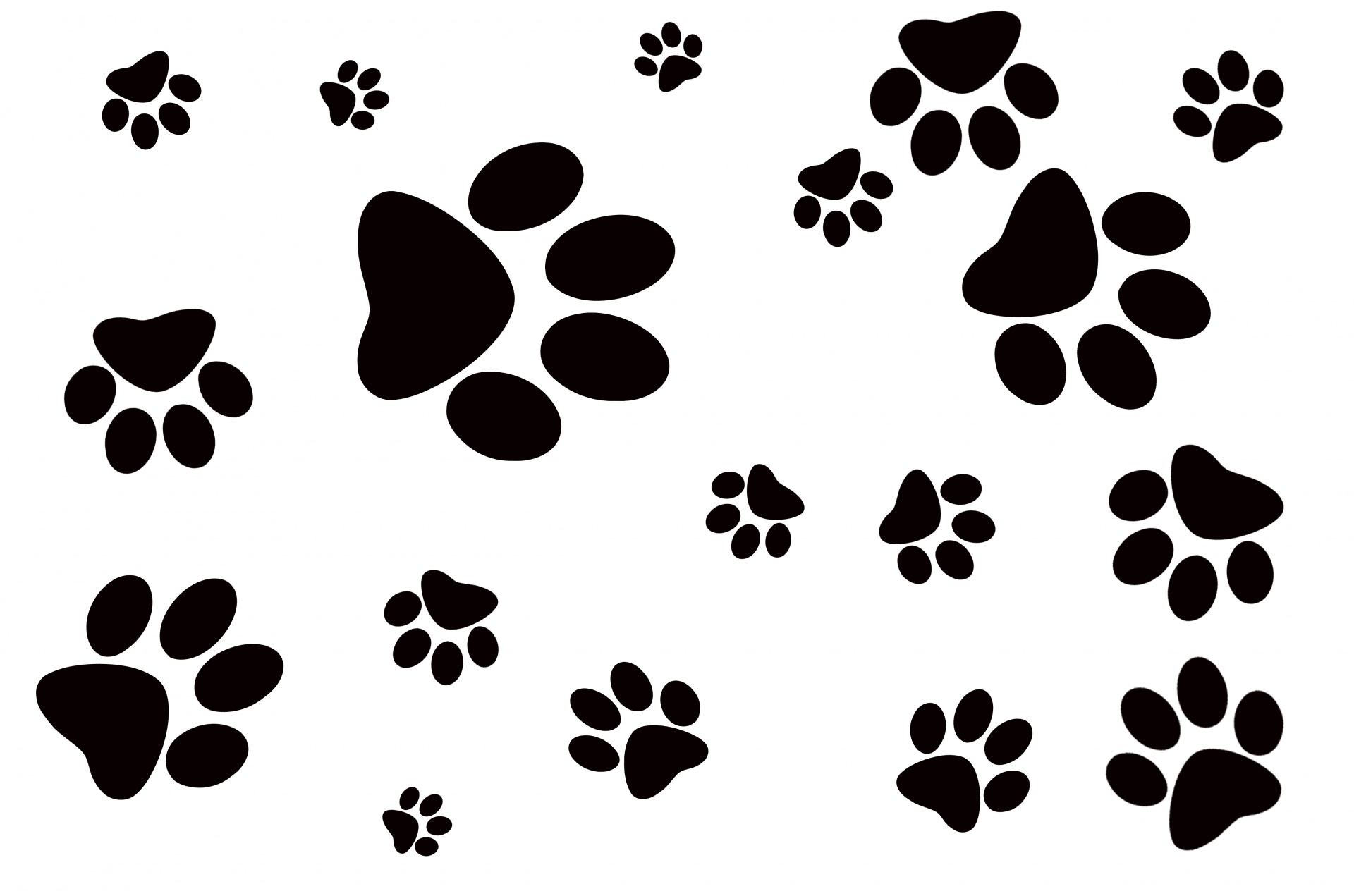 Background, pawprint, cat, pattern, icon