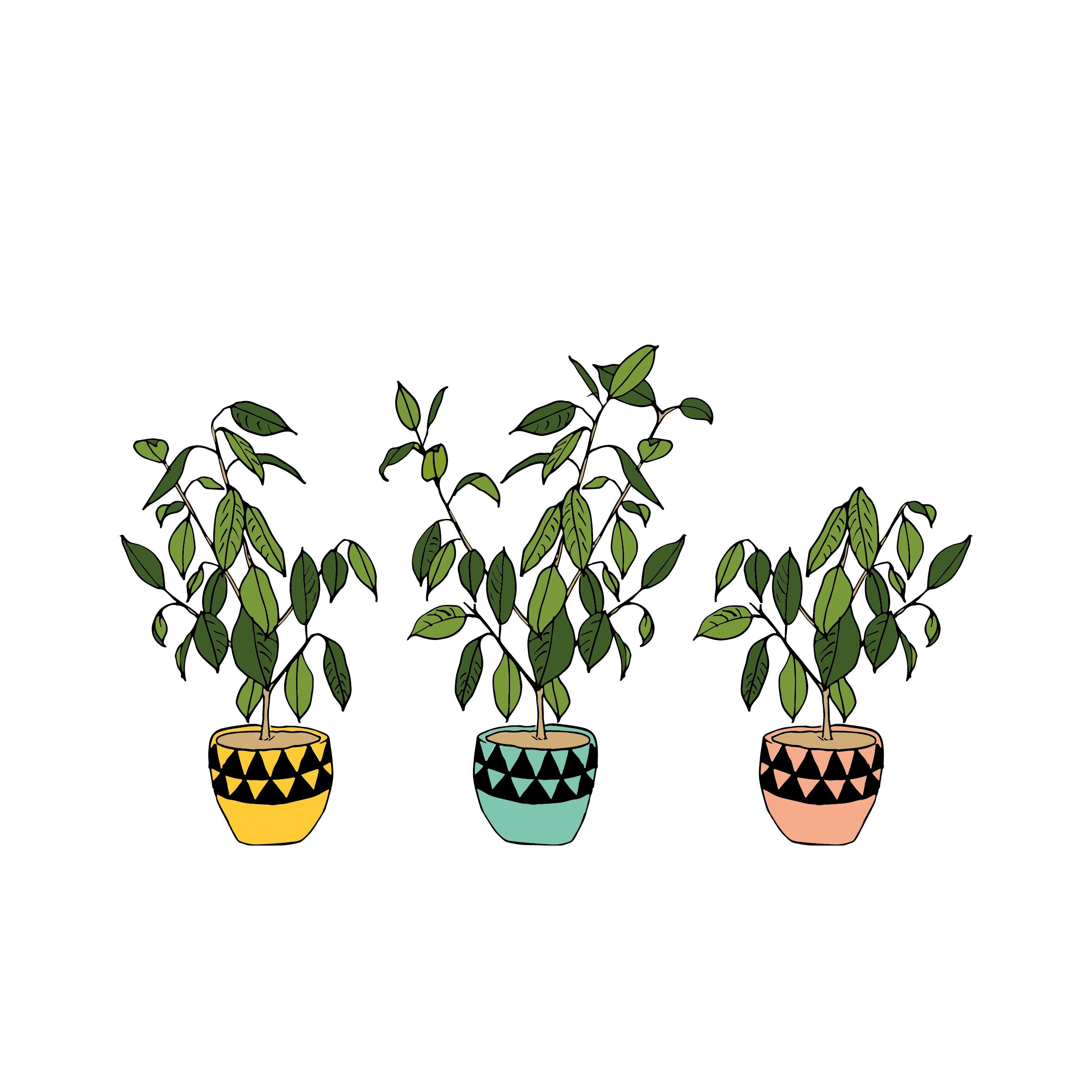 Potted Plants Wallpaper