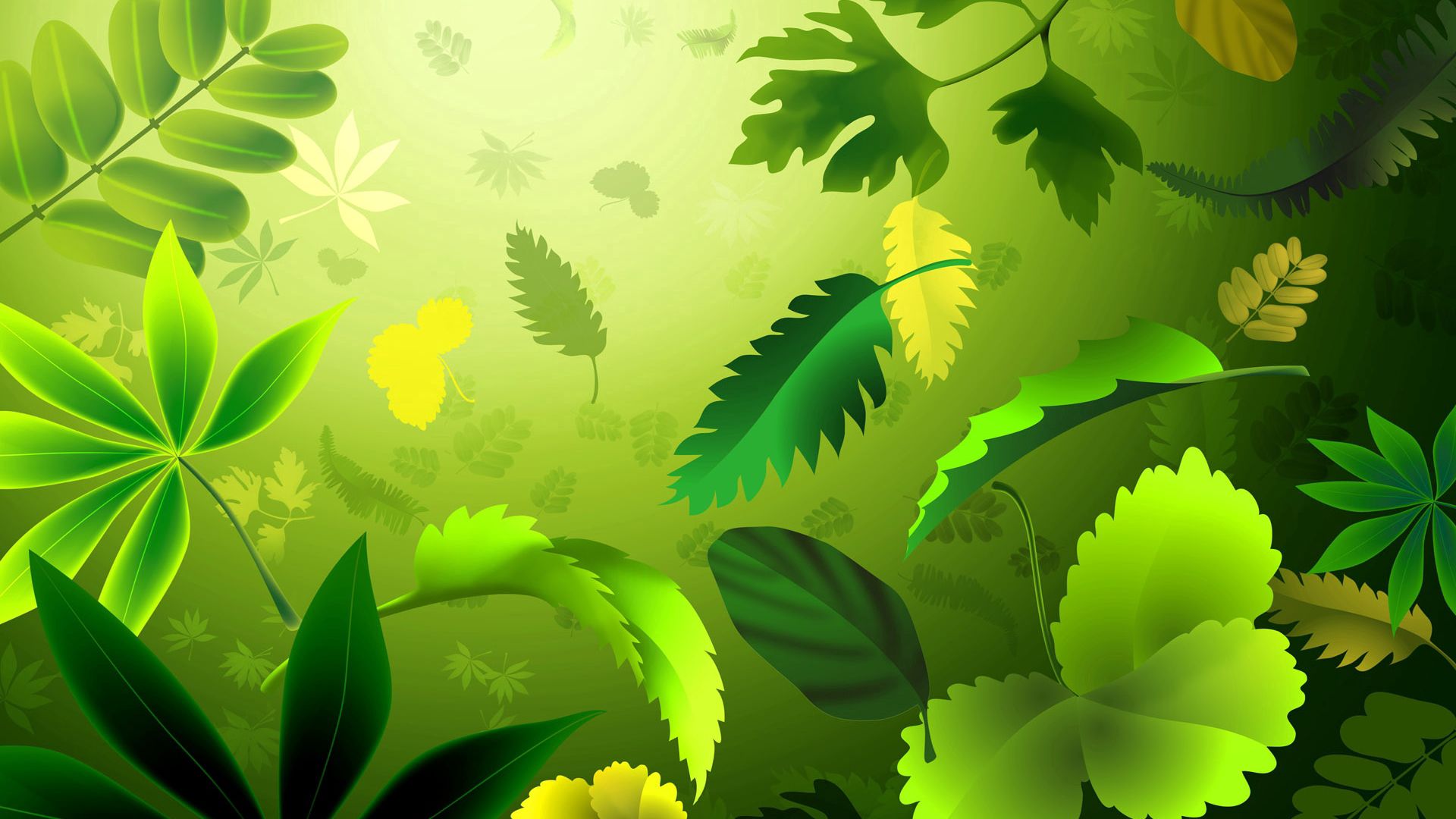 Download wallpaper 1920x1080 leaves, form plant, drawing full hd, hdtv, fhd, 1080p HD background