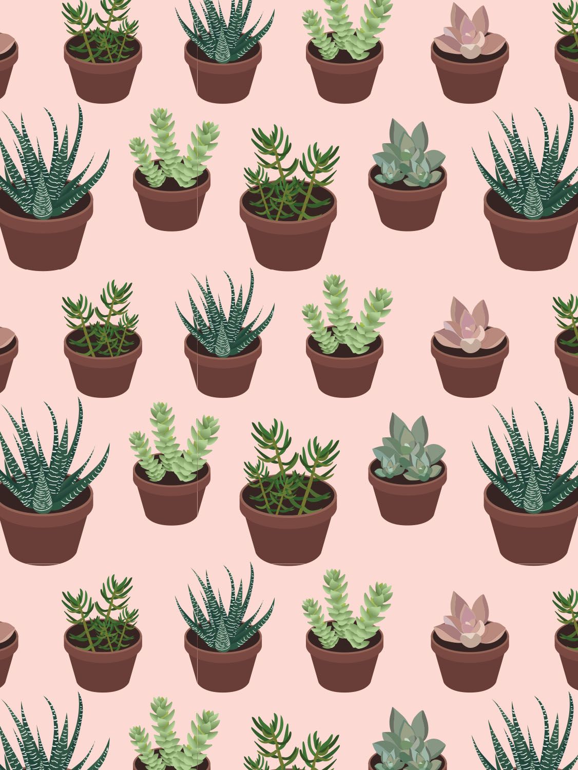 Hand Drawn Succulent Card Collection From Pattern Paper Co. Cactus Art, Plant Illustration, Cute Wallpaper