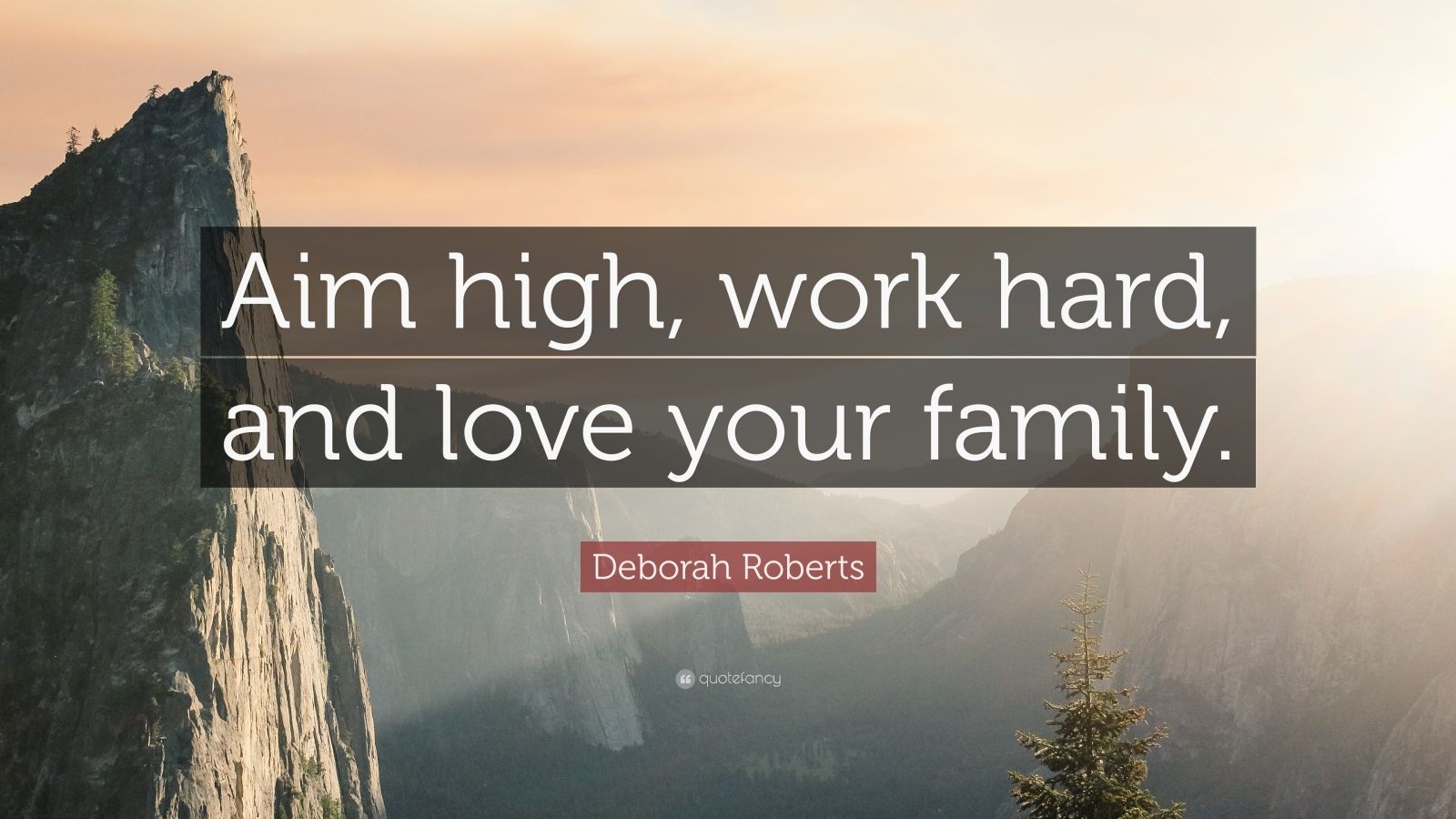 Deborah Roberts Quote: “Aim high, work hard, and love your family.”