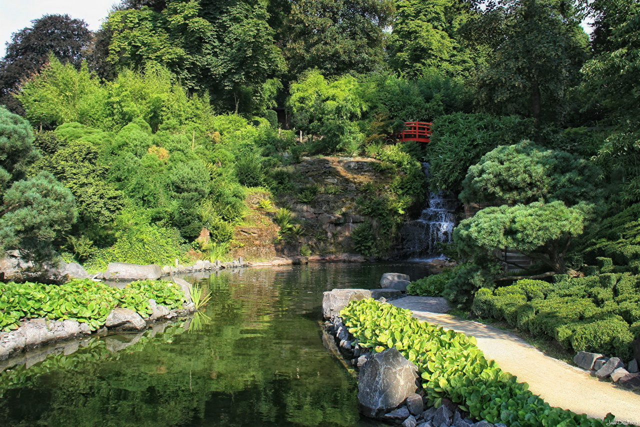 Picture Germany Kaiserslautern Nature Pond Gardens