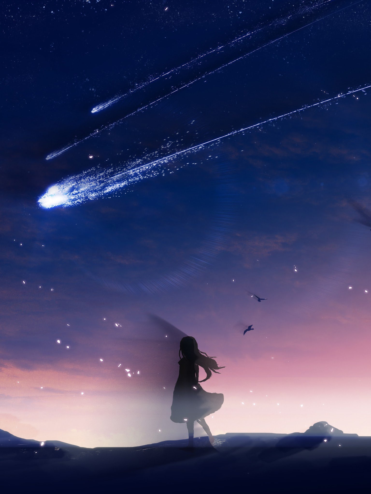 Free download Anime Night Sky Scenery Comet 4K Wallpaper 119 [1536x2048] for your Desktop, Mobile & Tablet. Explore Night Sky Anime Desktop Wallpaper. Wallpaper Night Sky, Night Sky Background, Night Sky Background