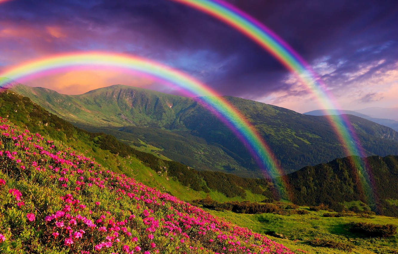Wallpaper landscape, flowers, mountains, nature, rainbow, landscape, nature, flowers, mountains, rainbows image for desktop, section пейзажи