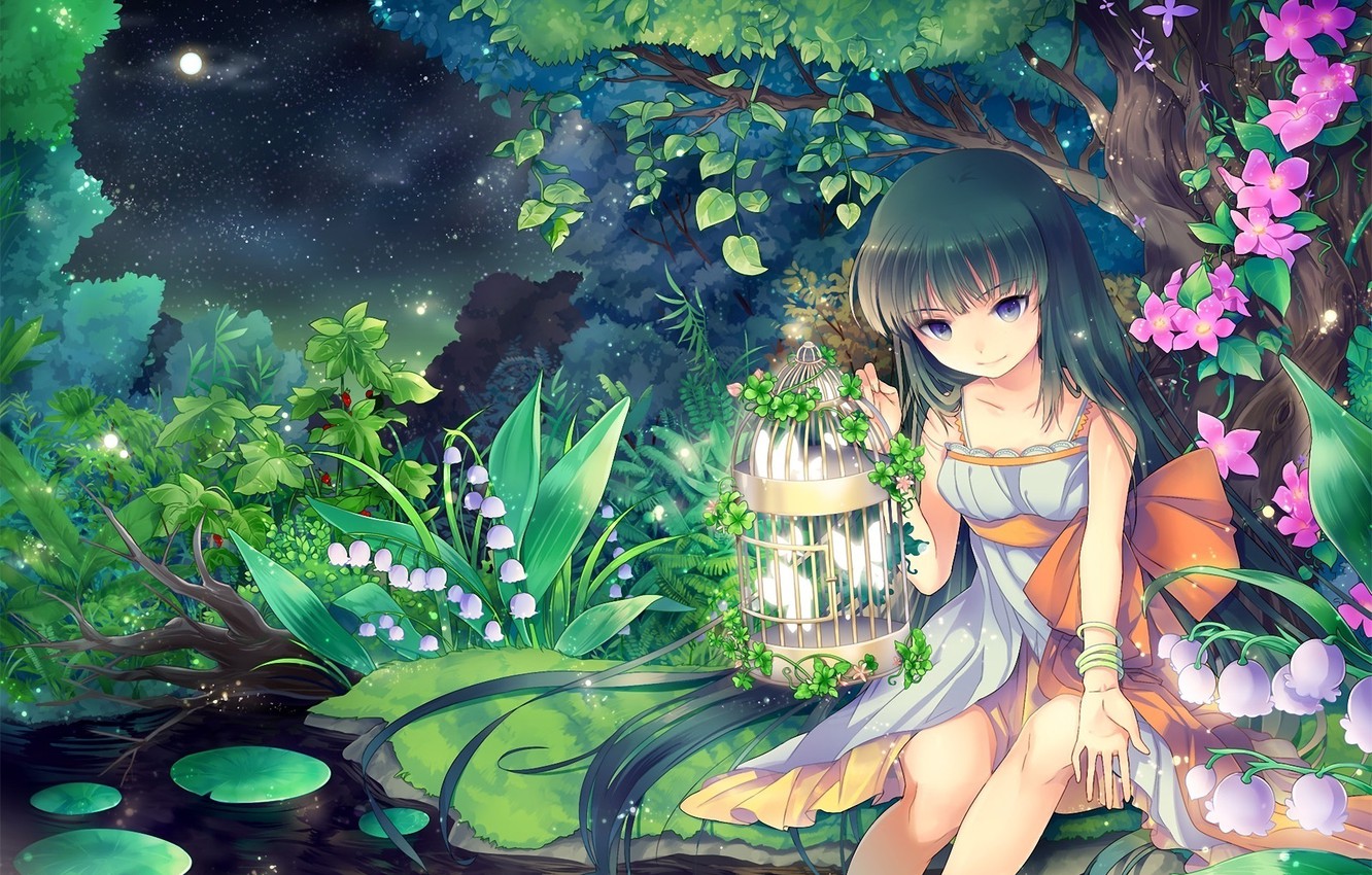 Wallpaper night, nature, stream, the moon, stars, anime, art, girl, Lily of the valley, cage flowers image for desktop, section прочее