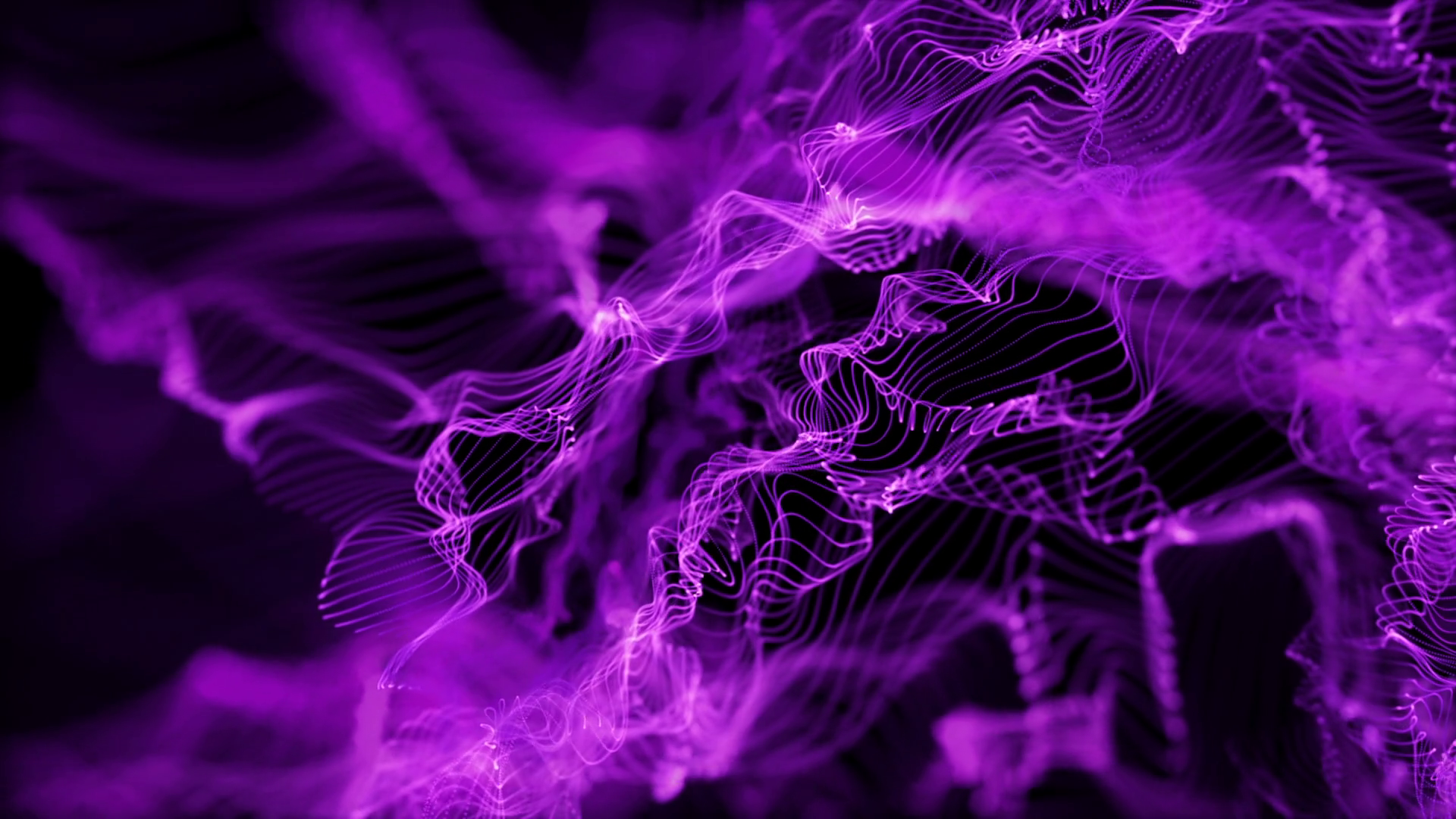 Energy Flower Made Up Of Glowing Particles. Seamless Loop. Violet Purple Indigo. Full HD Motion Background 00:10 SBV 312810127