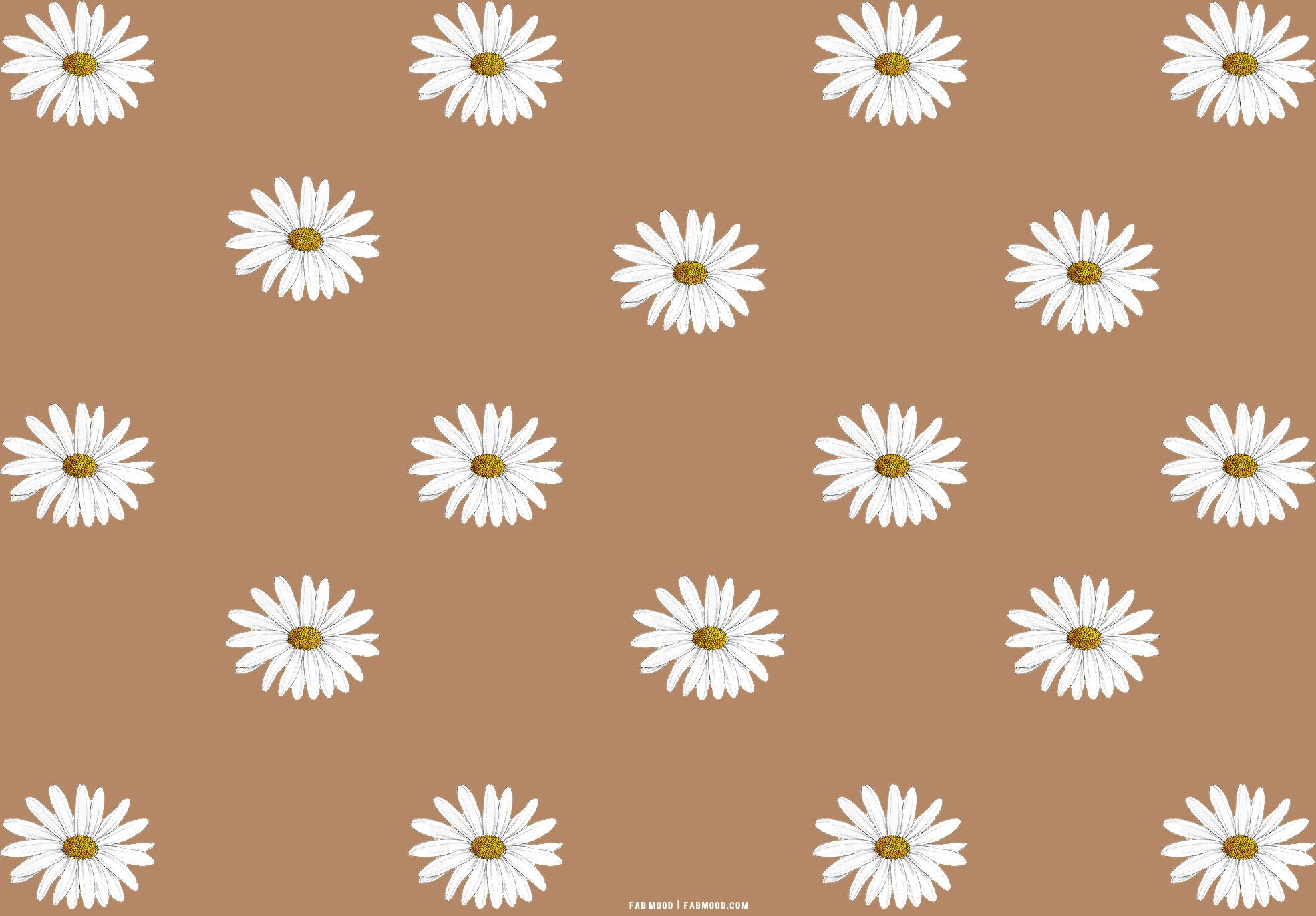 Brown Aesthetic Wallpaper for Laptop, Daisy Daisy