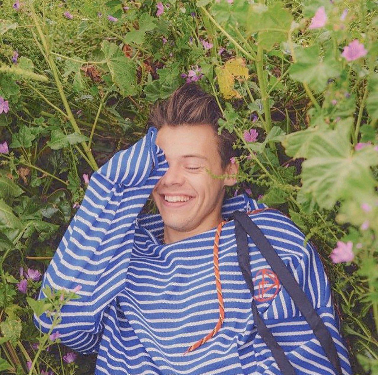 Harry Styles PFP Wallpapers - Wallpaper Cave