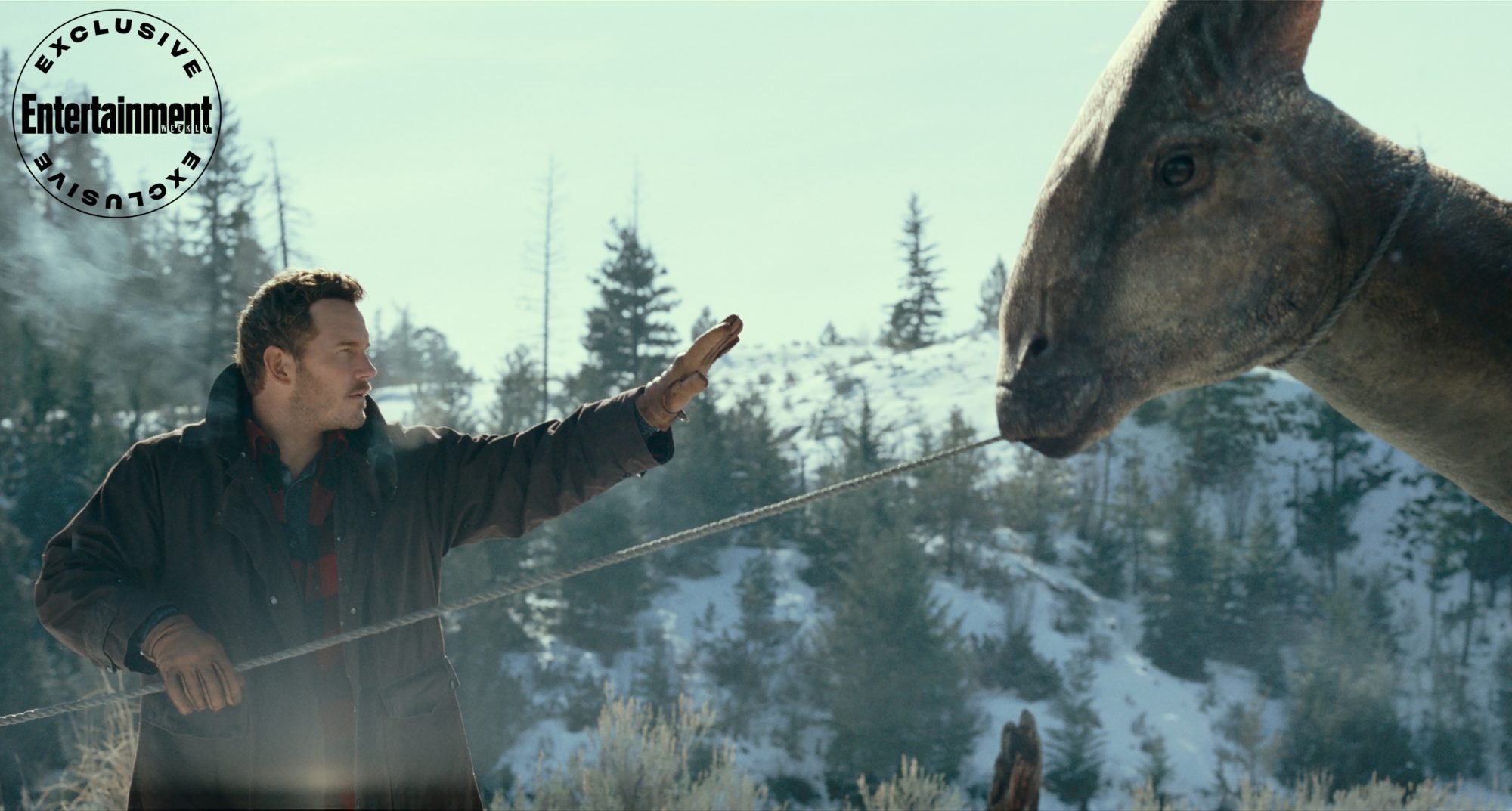 Jurassic World Dominion photo shows Chris Pratt still trying to save dinosaurs